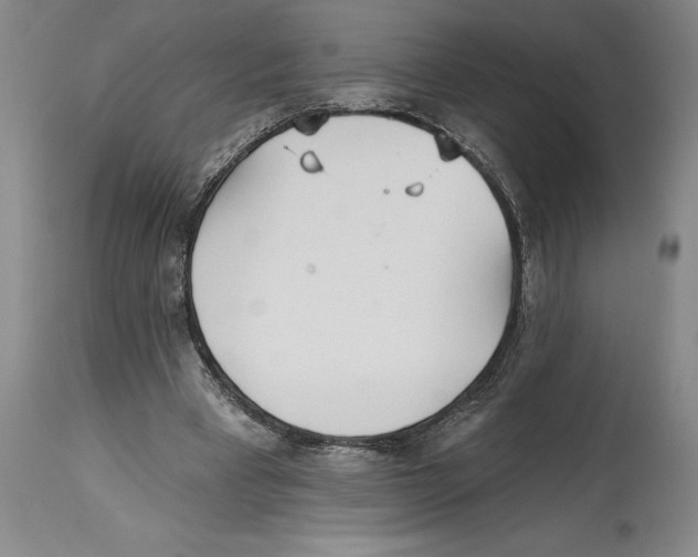 X0000114570393200911161251