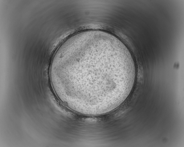 X0000114570394200911161251