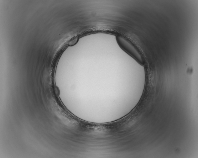 X0000114570395200911161251