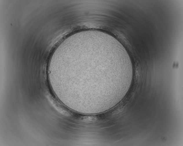 X0000114570398200911161251