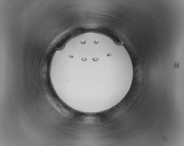 X0000114570400200911161251