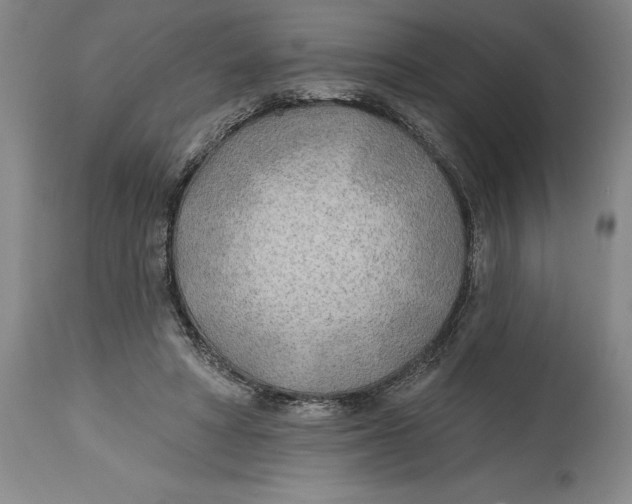 X0000114570402200911161251