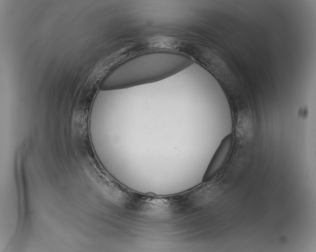 X0000114570409200911161250