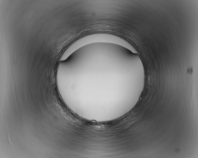 X0000114570411200911161250