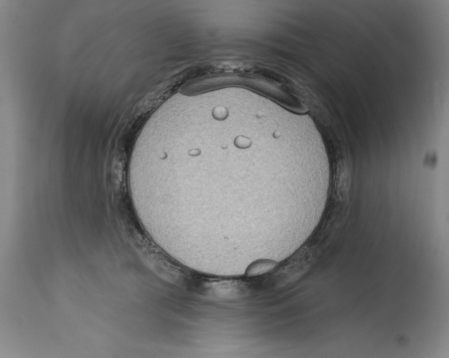 X0000114570417200911161250