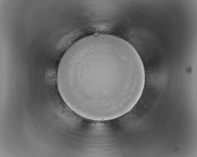 X0000114570419200911161250