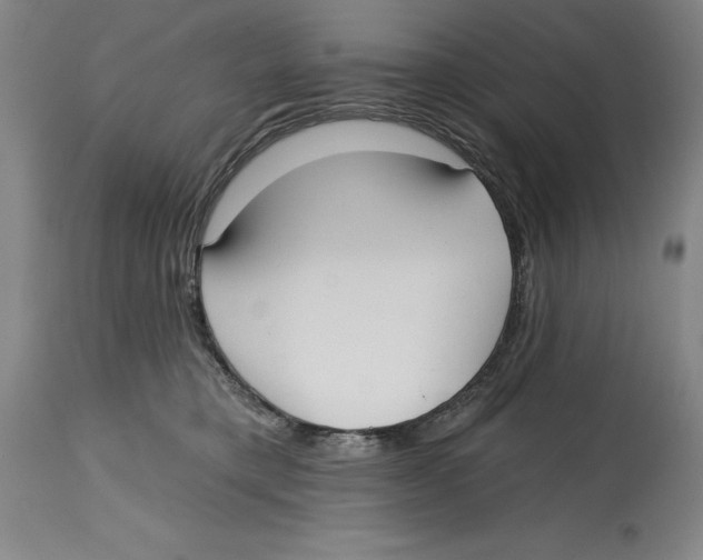 X0000114570421200911161250