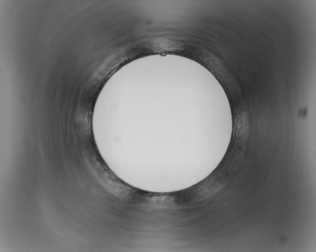 X0000114570426200911161250