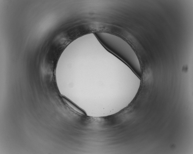 X0000114570429200911161250