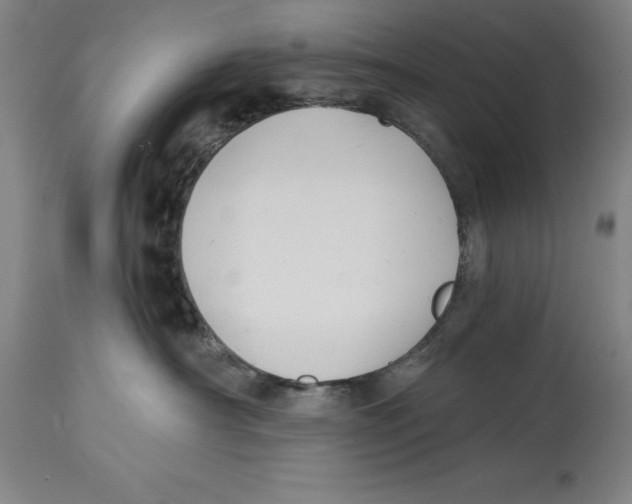 X0000114570430200911161250