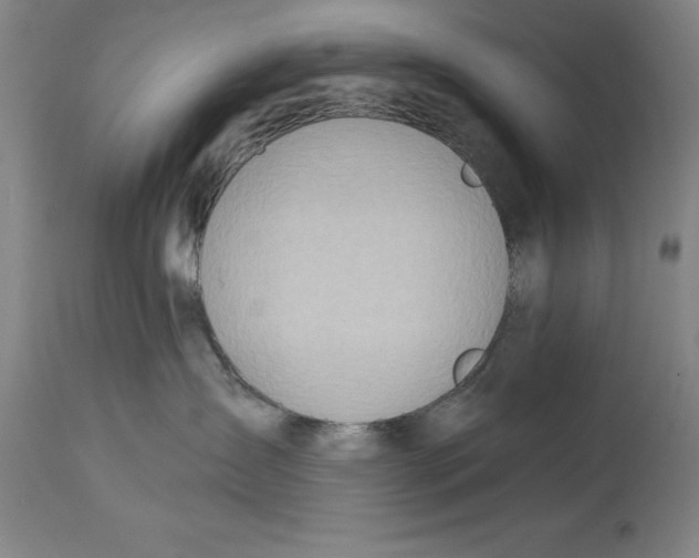 X0000114570431200911161250