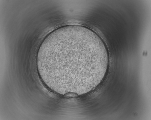 X0000114570433200911161250