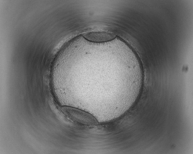 X0000114570434200911161250