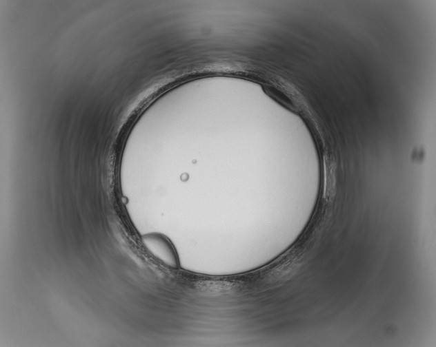 X0000114570435200911161250