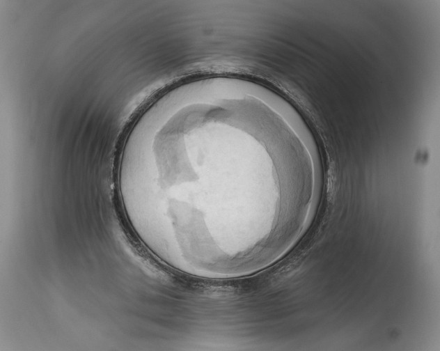 X0000114570438200911161250