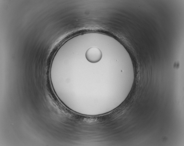 X0000114570440200911161250