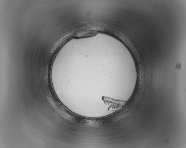 X0000114570442200911161250