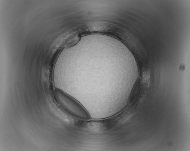 X0000114570444200911161250