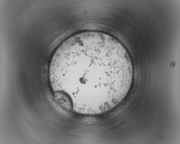 X0000114570445200911161250