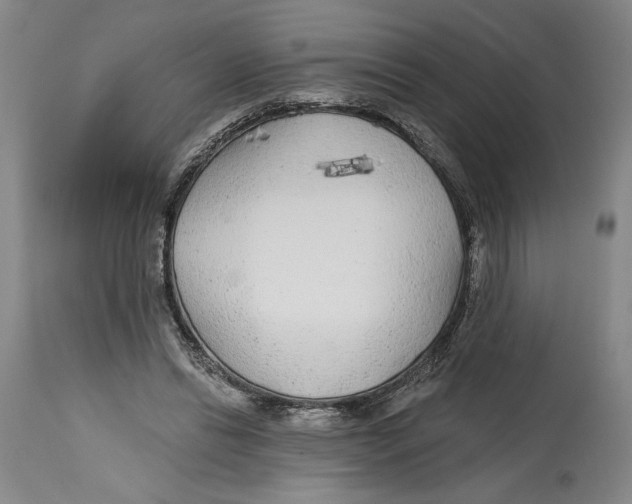 X0000114570446200911161250