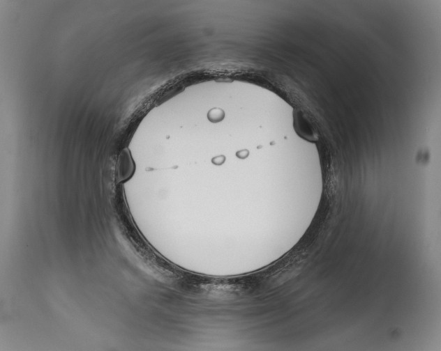 X0000114570448200911161250