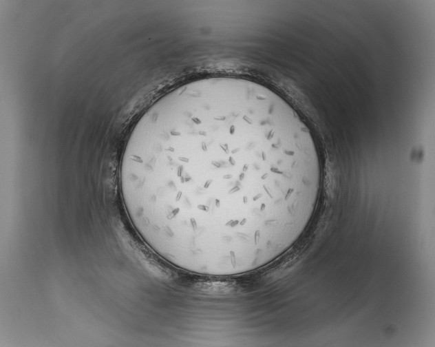 X0000114570449200911161250