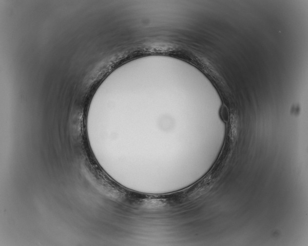 X0000114570451200911161250