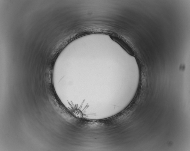 X0000114570453200911161250