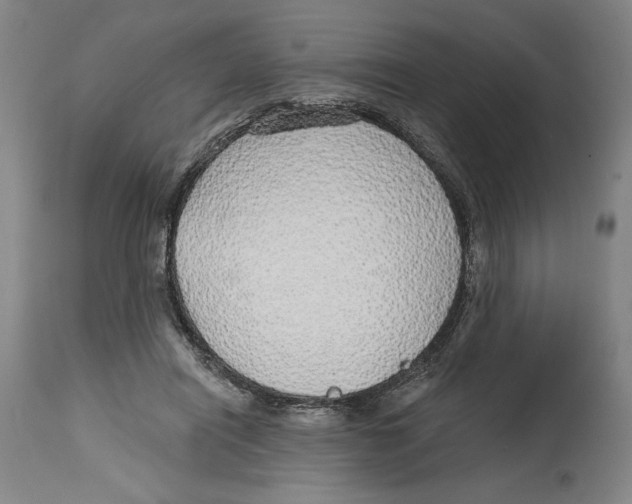 X0000114570454200911161250