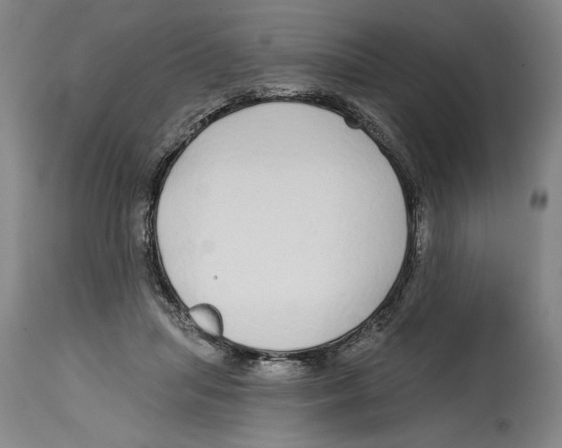 X0000114570455200911161250