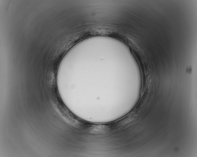 X0000114570459200911161250