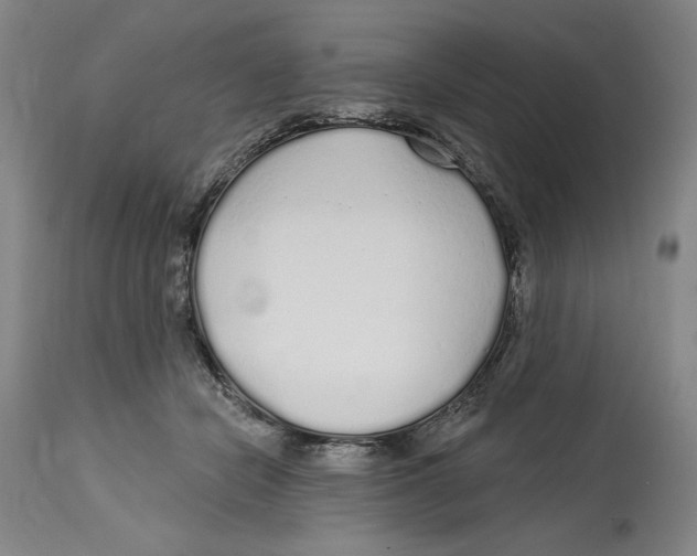 X0000114570462200911161250