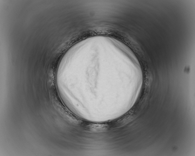 X0000114570465200911161250