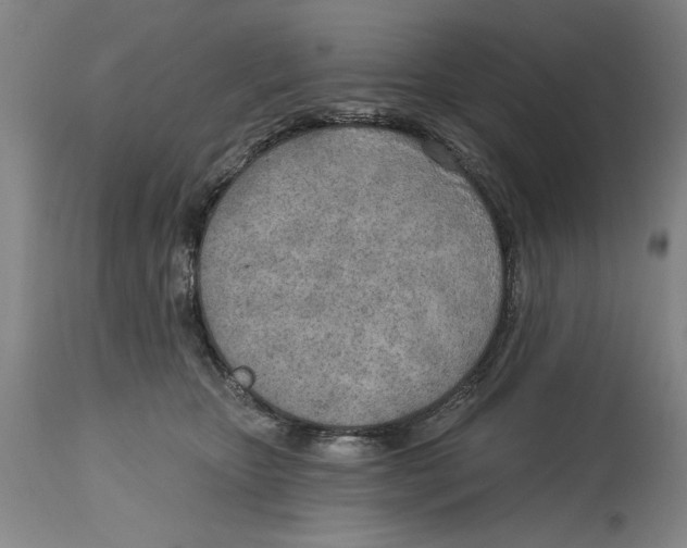 X0000114570467200911161250