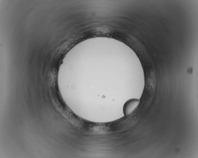 X0000114570468200911161250