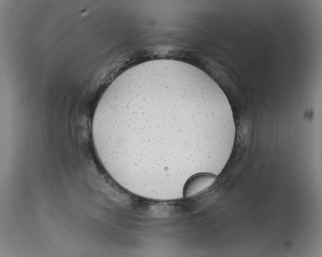 X0000114570470200911161250