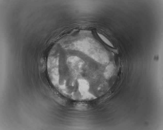 X0000114570471200911161250