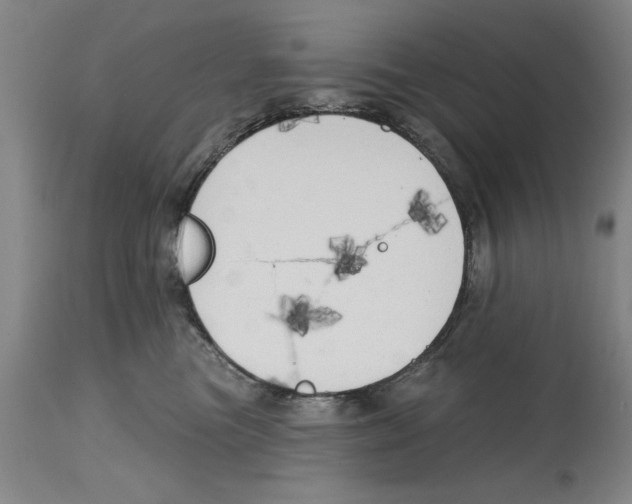 X0000114570473200911161250