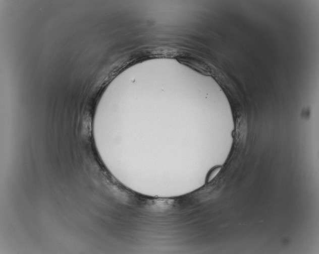 X0000114570474200911161250