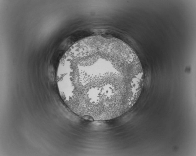 X0000114570477200911161250