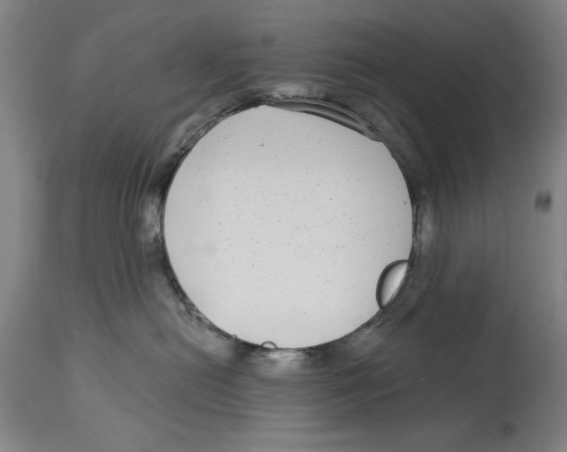 X0000114570478200911161250