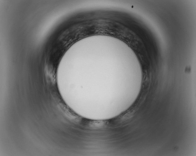 X0000114570479200911161250