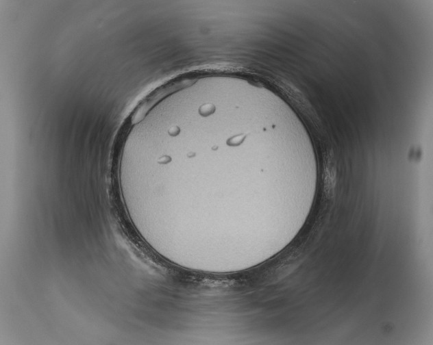 X0000114570484200911161249