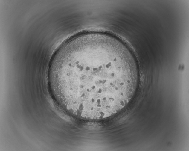 X0000114570487200911161249