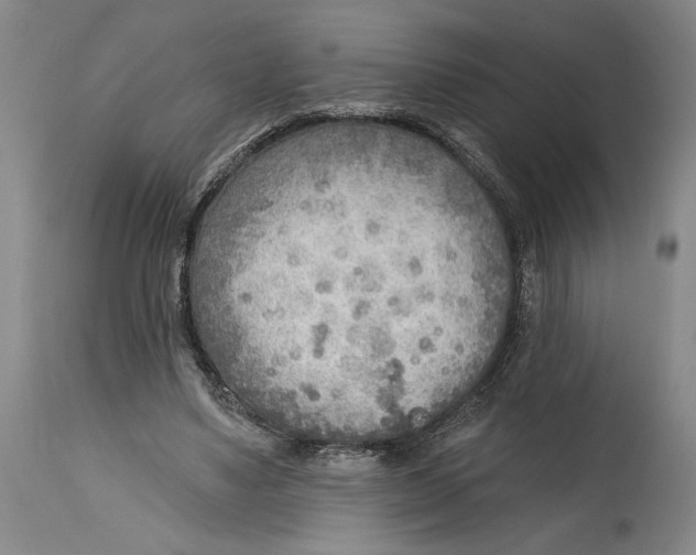 X0000114570491200911161249