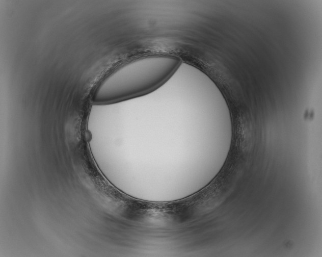 X0000114570496200911161249