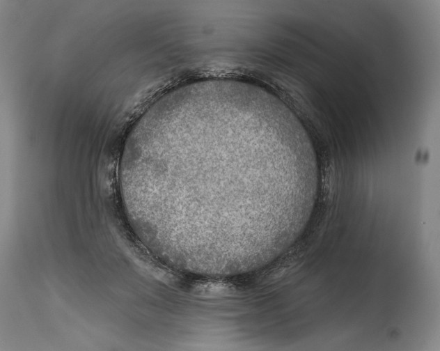 X0000114570503200911161249