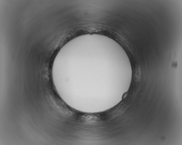 X0000114570512200911161249