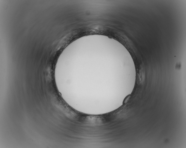 X0000114570520200911161249