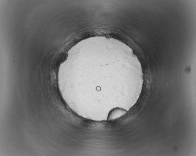 X0000114570523200911161249